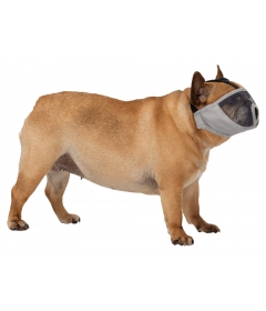 Accessoire de sécurité pour chiens - Muselière