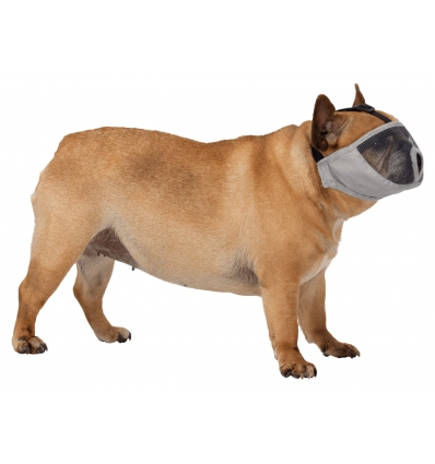 Accessoire de sécurité pour chiens - Muselière