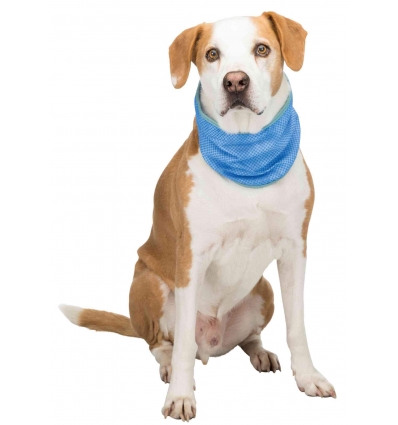 Bandana rafraîchissant Trixie - 3