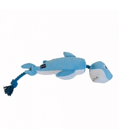 Clint Le Requin Gloria - 1