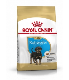 Royal Canin - Rottweiler Junior Royal Canin - 1