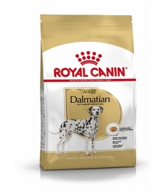 Royal Canin - Dalmatien Adult Royal Canin - 1