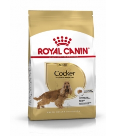 Royal Canin - Cocker Adult Royal Canin - 1
