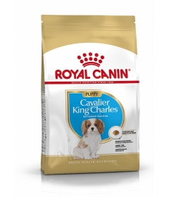 Royal Canin - Cavalier King Charles Junior Royal Canin - 1