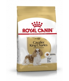 Royal Canin - Cavalier King Charles Adult Royal Canin - 1