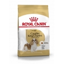 Royal Canin - Cavalier King Charles Adult Royal Canin - 1