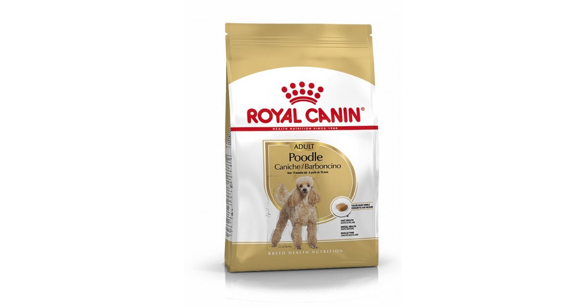 Royal Canin - Caniche Adult Royal Canin - 1