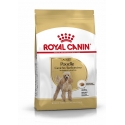 Royal Canin - Caniche Adult Royal Canin - 1