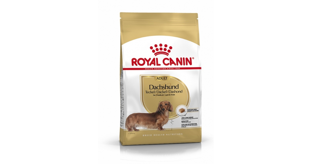 Royal Canin - Teckel Dachsund Adult Royal Canin - 1