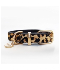 Collier pour chiens - Collier Léopard Milk & Pepper - 1