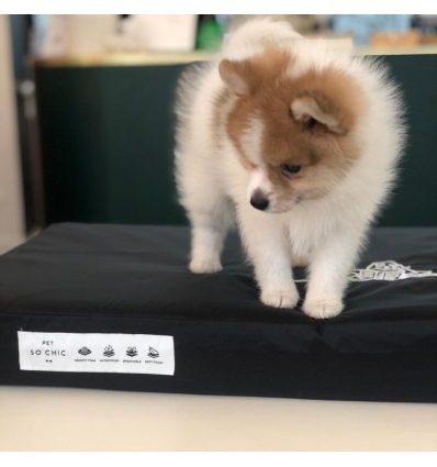 Pet Bed Pet So Chic - 2