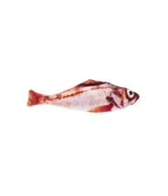 Mullet Matatabi Ferribiella - 1