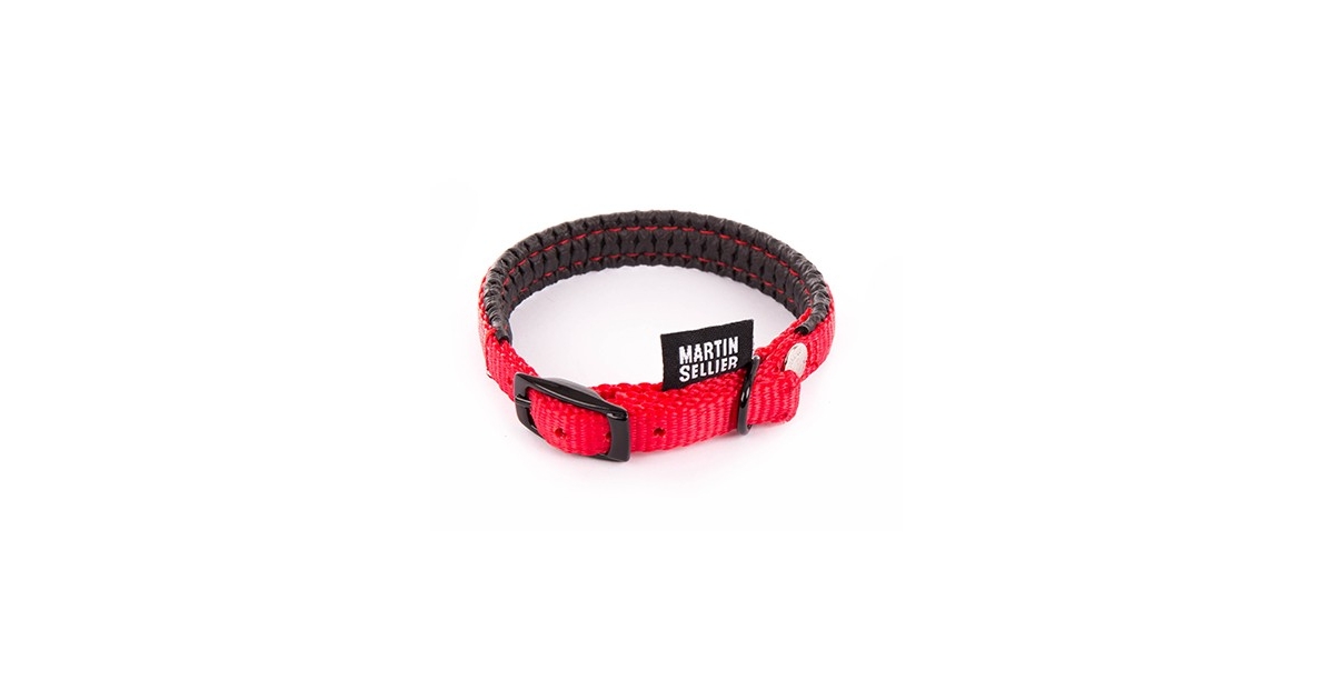 Collier pour chien - Collier confort MS NYLON Martin Sellier - 4
