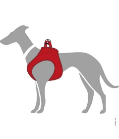 Harnais pour chien - Harnais Hilo Hunter - 2