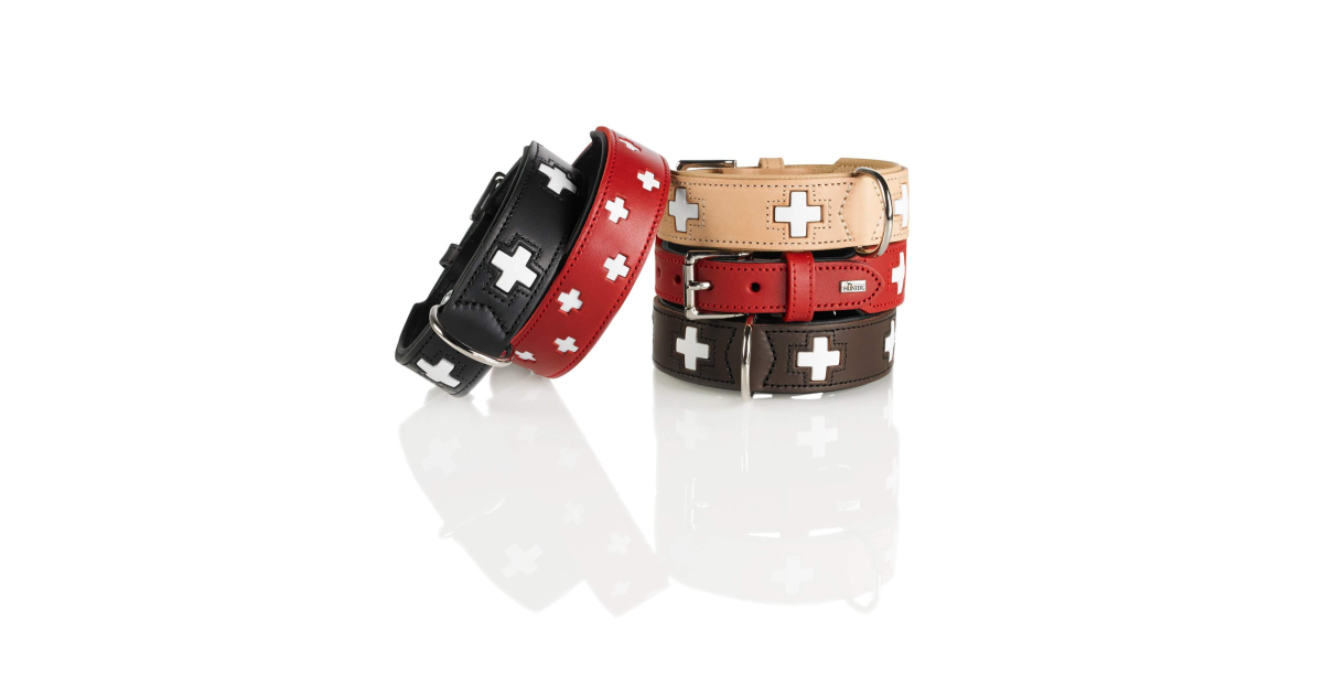 Collier pour chiens - Collier Swiss Hunter - 1