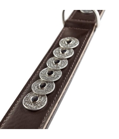 Collier pour chiens - Collier Rom Hunter - 1