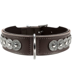 Collier pour chiens - Collier Rom Hunter - 2