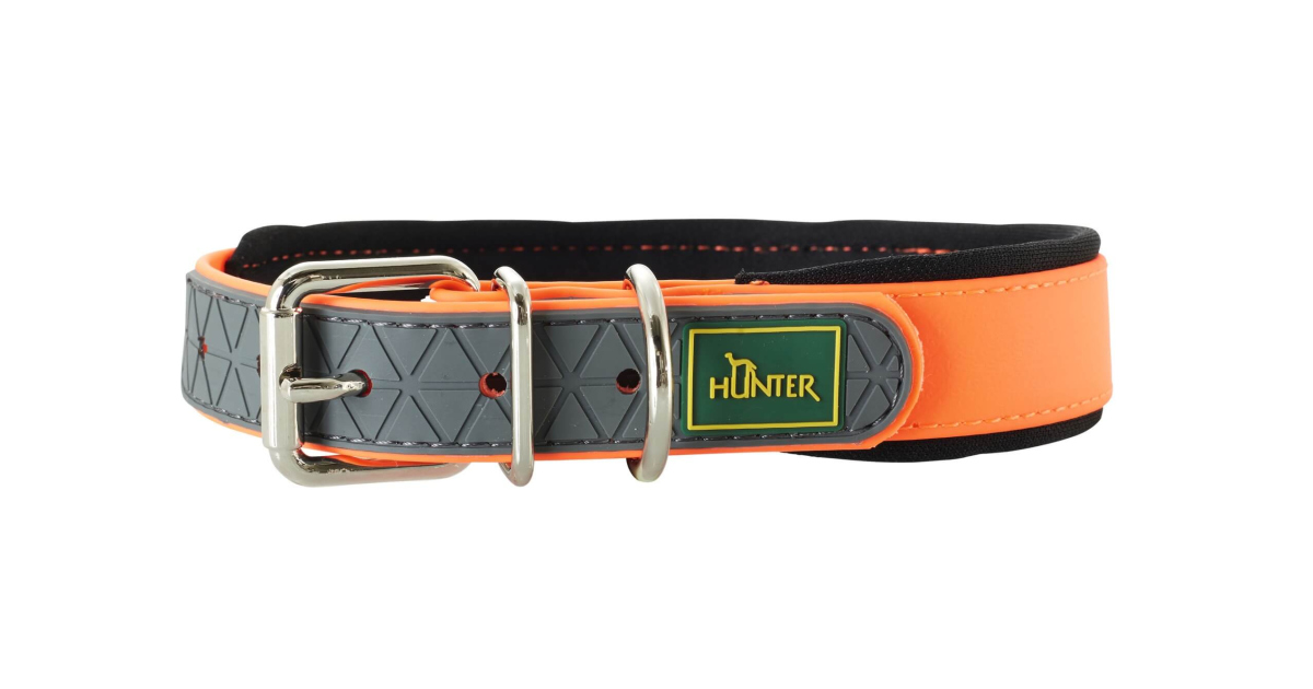 Collier pour chiens - Collier Convenience Comfort Hunter - 1