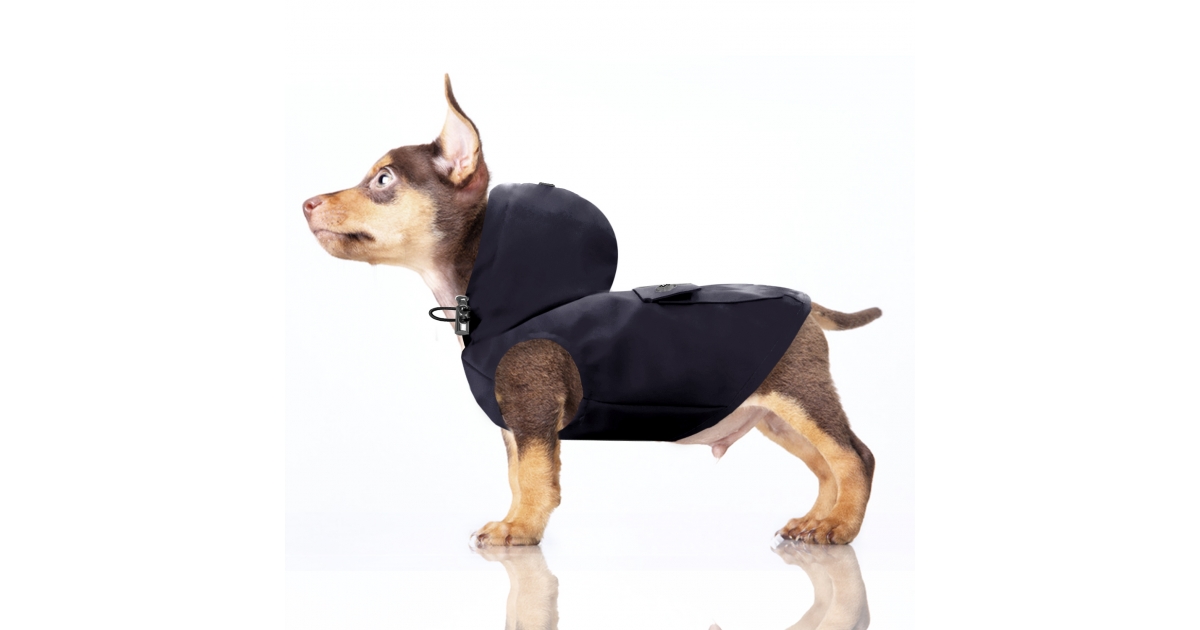 Imperméable pour chiens - Ciré imper BABORD Milk & Pepper - 2