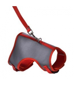 Harnais et laisse pour chaton BOBBY - 1