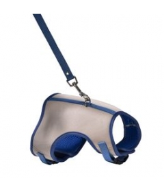 Harnais et laisse pour chaton BOBBY - 2