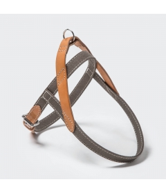 Harnais pour chien - Harnais Tivoli Cloud 7 - 1