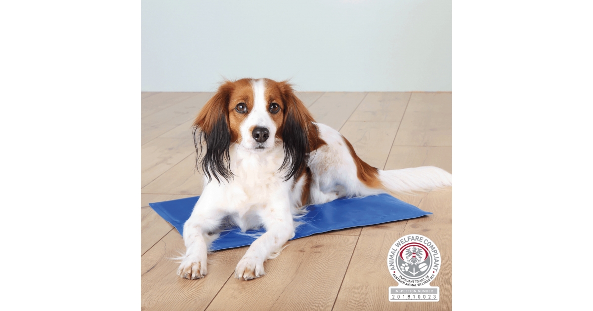 Tapis rafraîchissant