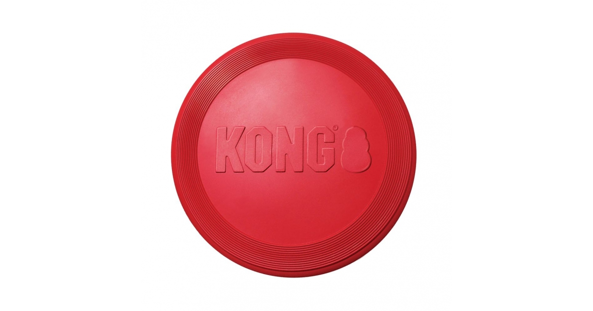 Kong - Frisbee Kong - 1