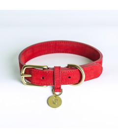 Collier our chien - Collier Tiergarten Cloud 7 - 1