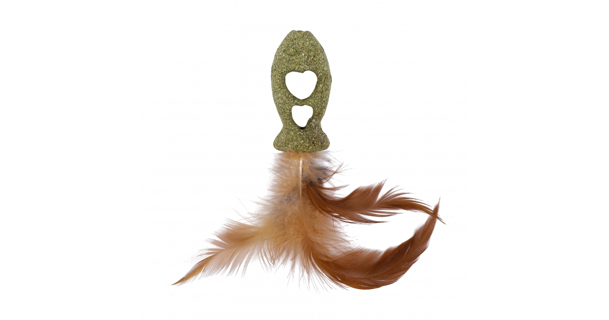 Poisson à plumes HC