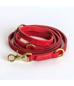 Laisse pour chiens - Laisse Tiergarten Cloud 7 - 1