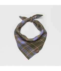 Bandana pour chiens - Bandana Check Green