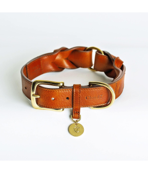 Collier our chien - Collier Hyde Park Cloud 7 - 1