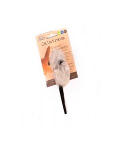 Calatrava peau de lapin Gloria - 1