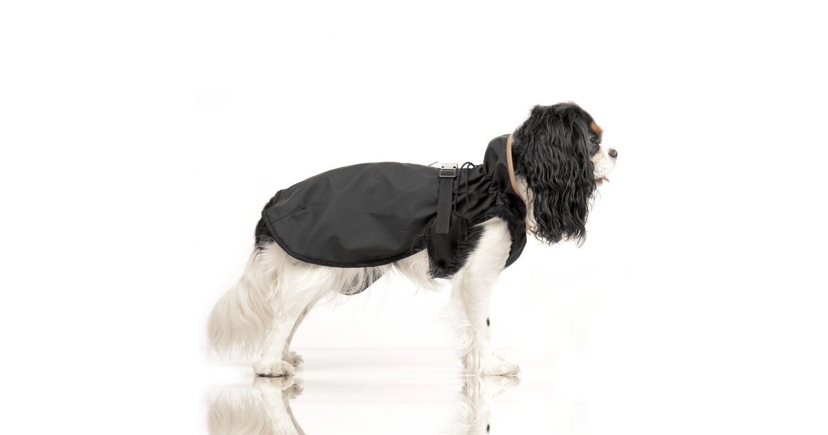 Hamilton (Cape) Milk & Pepper - 4