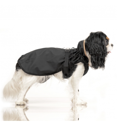 Hamilton (Cape) Milk & Pepper - 4