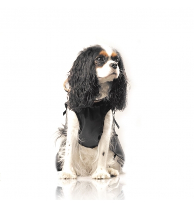 Hamilton (Cape) Milk & Pepper - 3