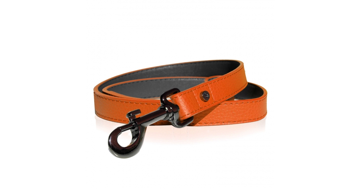 Laisse pour chiens - Laisse Dandy Milk & Pepper - 1