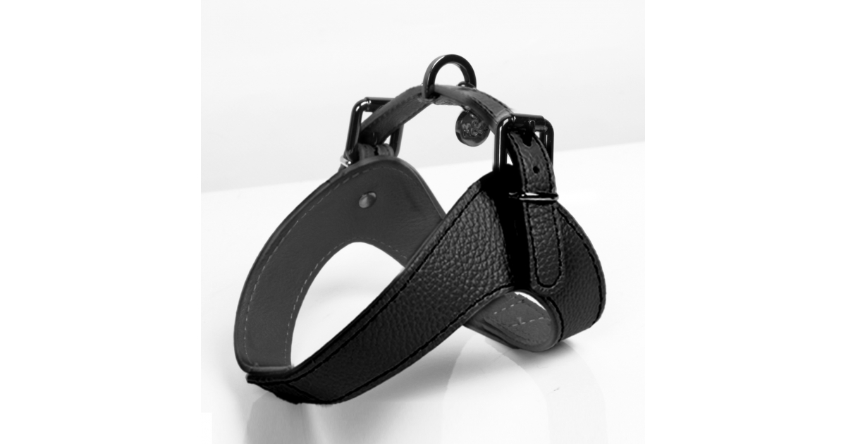 Harnais pour chien - Harnais Dandy Milk & Pepper - 1