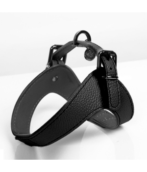 Harnais pour chien - Harnais Dandy Milk & Pepper - 1