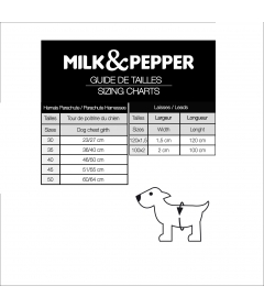 Harnais pour chien - Harnais Dandy Milk & Pepper - 27