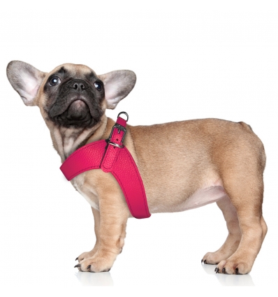 Harnais pour chien - Harnais Dandy Milk & Pepper - 14