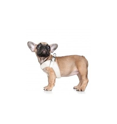 Harnais pour chien - Harnais Dandy Milk & Pepper - 25