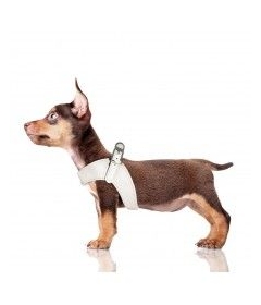 Harnais pour chien - Harnais Dandy Milk & Pepper - 26