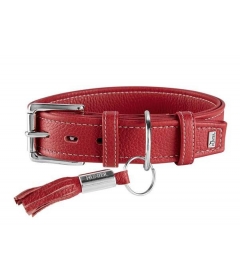 Collier pour chiens - Collier Cannes Hunter - 4