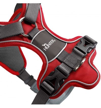 Harnais pour chien - Harnais DIVO Hunter - 2