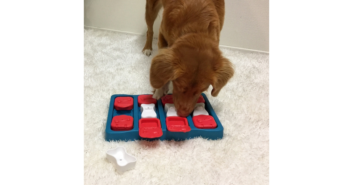 Dog Brick Nina Ottoson - 1