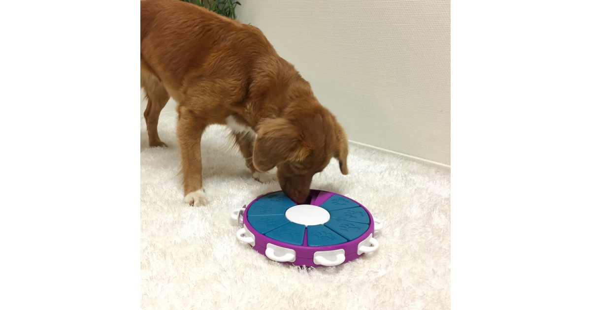 Dog Twister Nina Ottoson - 1