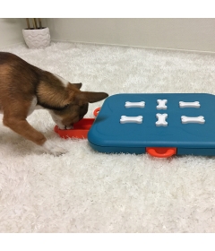 Dog Casino Nina Ottoson - 1