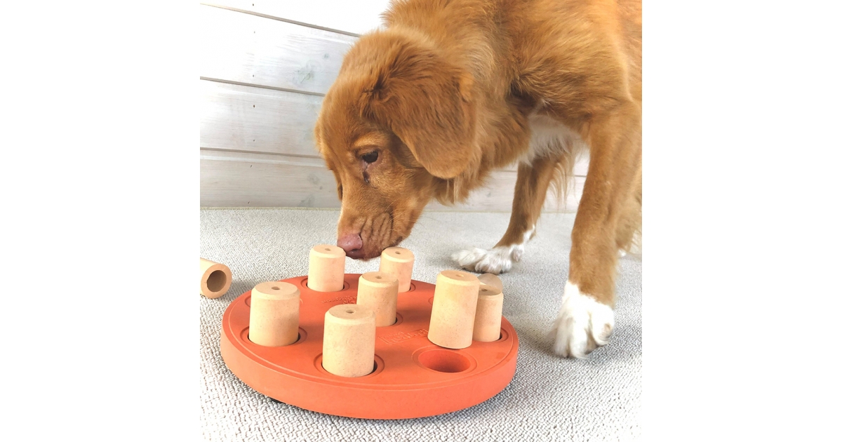 Dog Smart Ecologique Nina Ottoson - 1